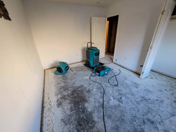 Best Water damage contractors near me  in Bakerstown, PA