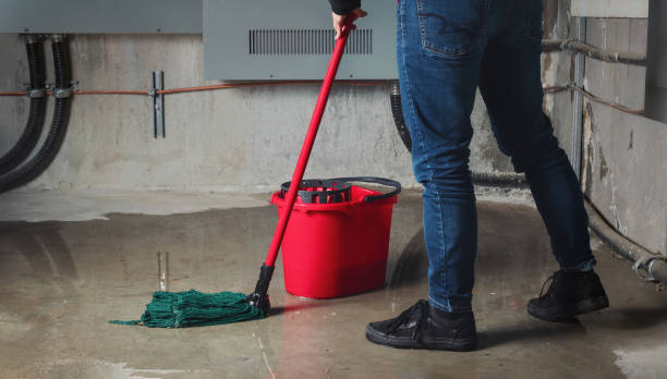 Best Flooded house restoration  in Bakerstown, PA