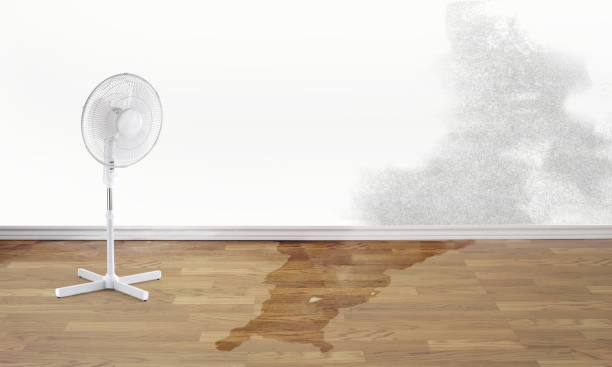 Local water damage restoration in Bakerstown, PA