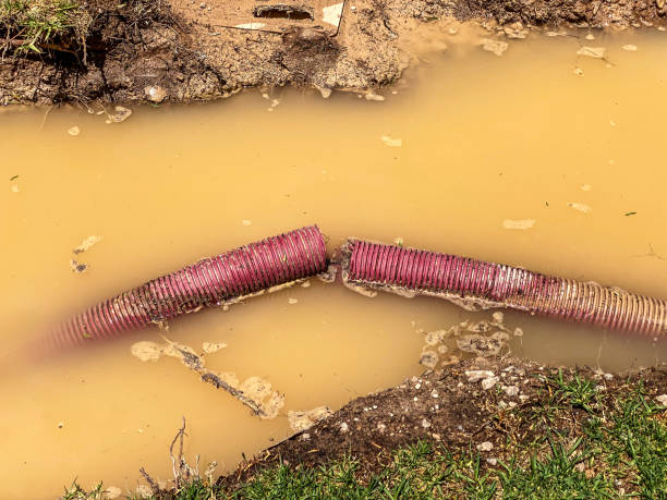 Best Water damage restoration process  in Bakerstown, PA