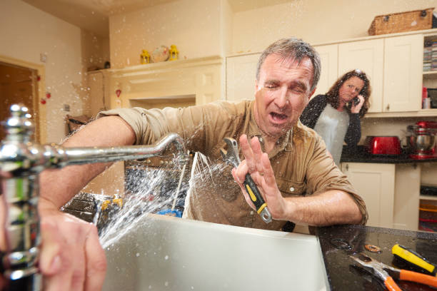Best Water damage mitigation services  in Bakerstown, PA